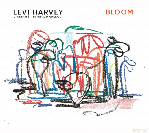 Harvey Levi: Bloom [CD]