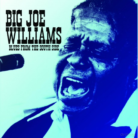 Williams Big Joe: Blues From The South Side [CD]