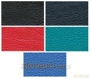 Kalendarz 2015 Dzienny Mini SKIN mix [KALENDARZ]