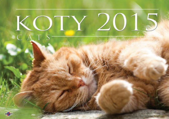 Kalendarz 2015 KA1 Koty [KALENDARZ]
