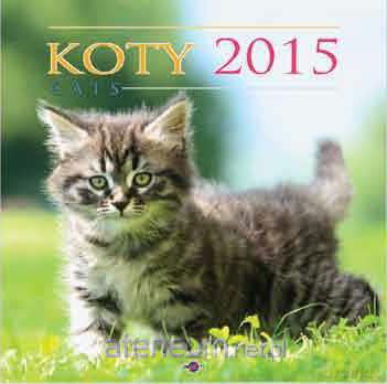 Kalendarz 2015 KD21 - Koty [KALENDARZ]