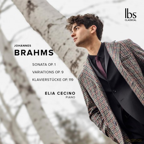 Cecino Elia: Brahms: Pno Works [CD]