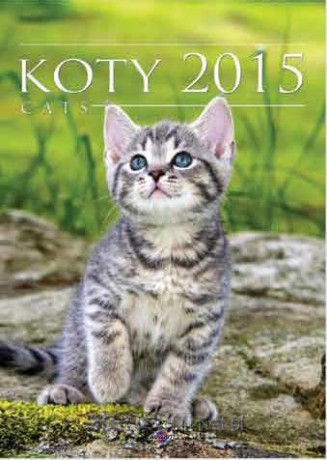 Kalendarz 2015 KSM4 - Koty [KALENDARZ]