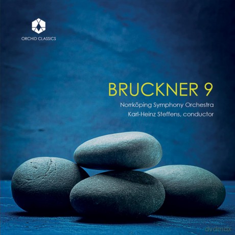 Norrkoping Symphony Orchestra: Bruckner Symphony No.9 [CD]