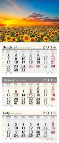 Kalendarz 2015 Trójdzielny Pole słoneczników GD743 [KALENDARZ]