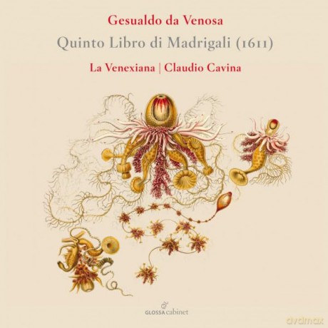 La Venexiana: Carlo Gesualdo 5th Madrigalbook [CD]
