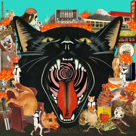 Fantastic Cat: Cat Out Of Hell [CD]