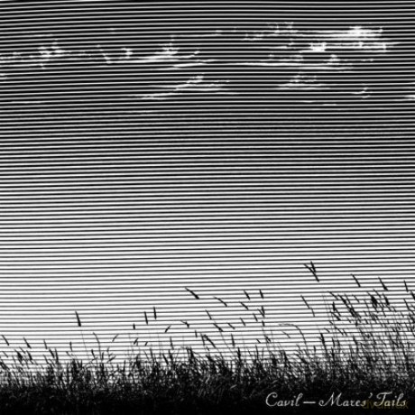 Cavil-Mares Tails: Cavil-Mares Tails [CD]