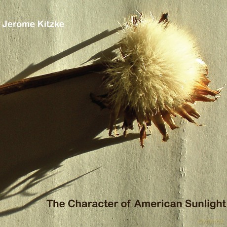 Kitzke Jerome: Character Of American Sunlight [CD]
