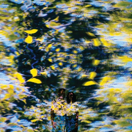 Chaton Laveur-Labyrinthe -Digi- [CD]