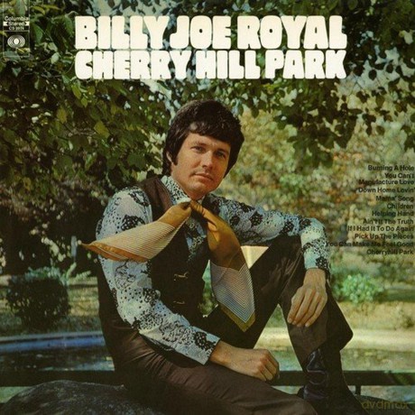 Royal Billy Joe: Cherry Hill Park [CD]