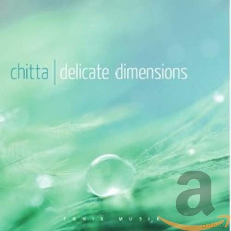 Chitta: Delicate Dimensions [CD]