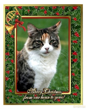Forester Sisters: Christmas Card [CD]