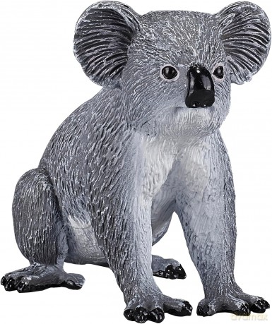 Koala ANIMAL PLANET