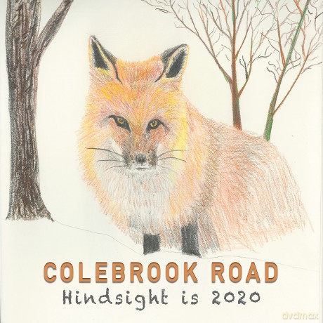 Colebrook Road: Colebrook Road - Hindsight Is 2020 [CD]