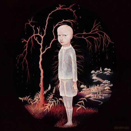 Constant Follower-The Smile You Send Out Returns To You: Constant Follower-The Smile You Send Out Returns To You [CD]