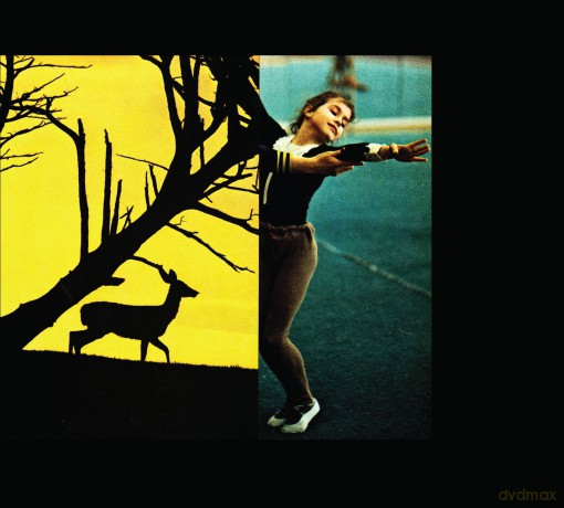 Consumer Electronics-Surge: Consumer Electronics-Surge [CD]