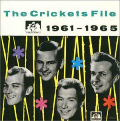 Crickets: Crickets File 1961-65 [CD]