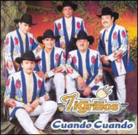 Tigrillos: Cuando Cuando [CD]