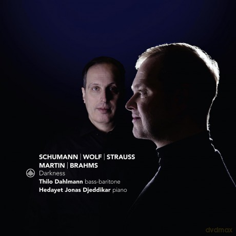 Dahlmann Thilo Hedayet Djeddikar: Darkness [CD]