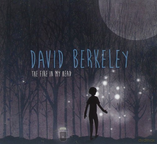 David Berkeley: David Berkeley - The Fire In My Head [CD]