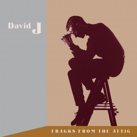 David J-Tracks From The Attic: David J-Tracks From The Attic [3CD]