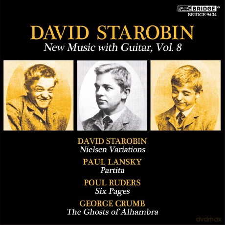 Davidstarobin-Various:Guitarvol.8: DavidStarobin-Various:GuitarVol.8 [CD]