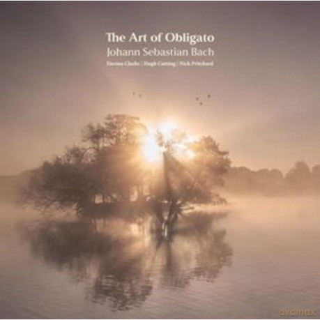Davina Clarke-The Art Of Obligato: Davina Clarke-The Art Of Obligato [CD]