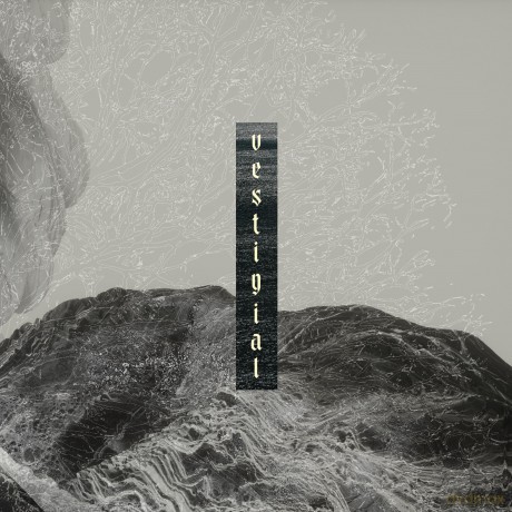 Vestigial: Descending Vastness [CD]