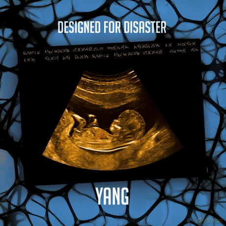 Yang: Designed For Disaster [CD]