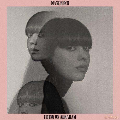 Diane Birch-Flying On Abraham: Diane Birch-Flying On Abraham [CD]