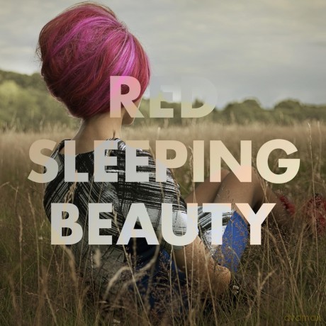 Red Sleeping Beauty: Diary [CD]