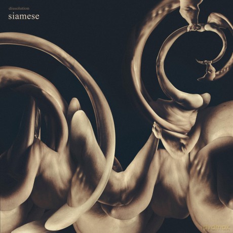 Siamese: Dissolution [CD]