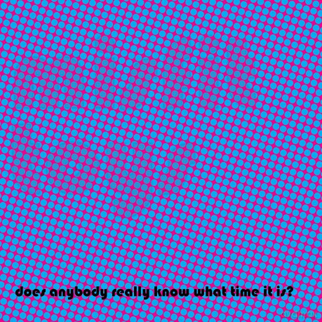 Misfit Toys: Does Anybody Really Know What Time It Is [CD]