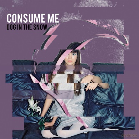 Dog In The Snow-Consume Me: Dog In The Snow-Consume Me [CD]