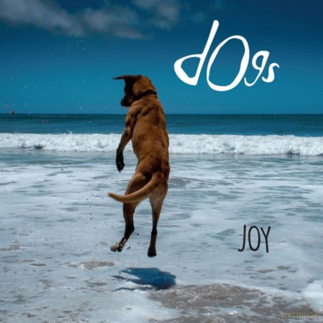 Dogs-Joy: Dogs-Joy [CD]