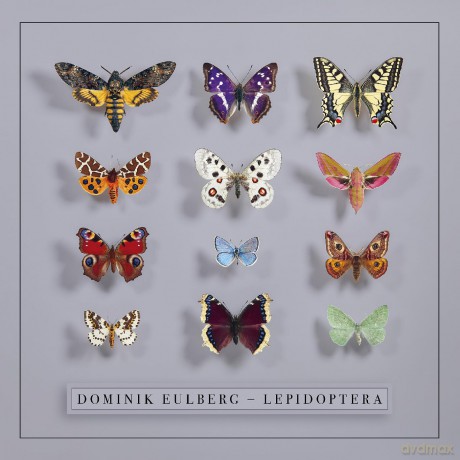 Dominik Eulberg-Lepidoptera: Dominik Eulberg-Lepidoptera [CD]