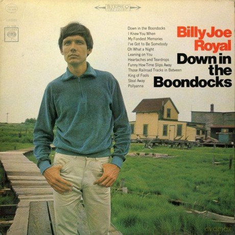 Royal Billy Joe: Down In The Boondocks [CD]