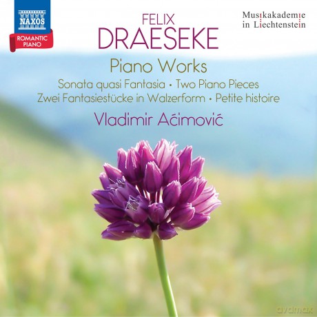 Acimovic Vladimir: Draeseke: Piano Works [CD]