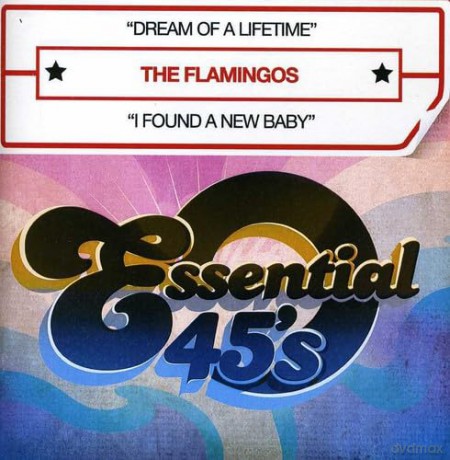 Flamingos: Dream Of A Lifetime [CD]