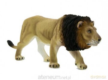 Lew ANIMAL PLANET