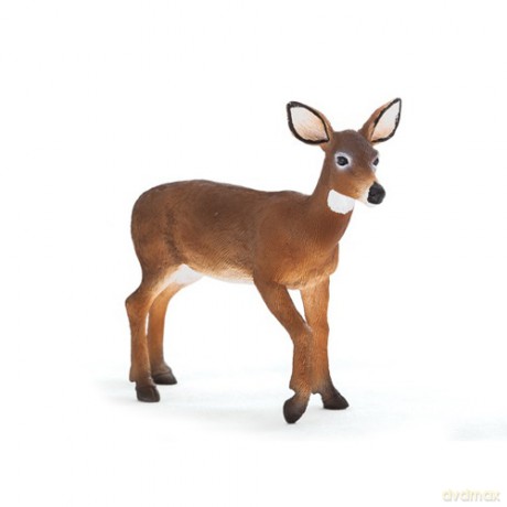 Łania wirginijska ANIMAL PLANET