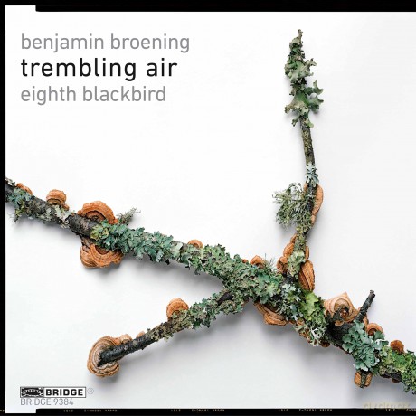 Eighthblackbird-Broening:Tremblingair: EighthBlackbird-Broening:TremblingAir [CD]