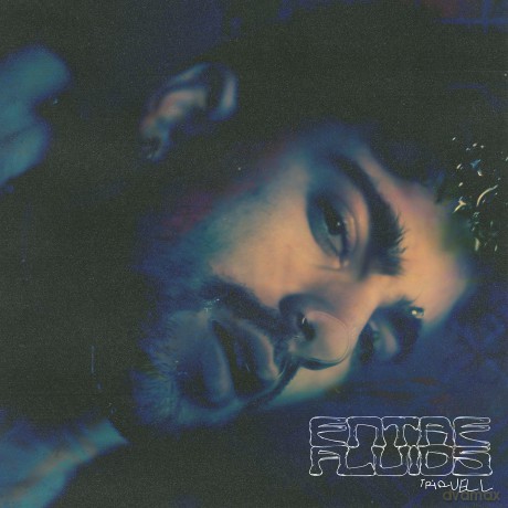 Triquell: Entre Fluids [CD]