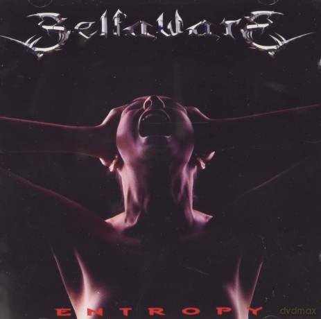 Selfaware: Entropy [CD]