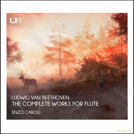 Enzo Caroli Anna Martignon Jung Hun Yoo Carlo Lazzari Gi-Beethoven: The Complete Works For Flute: Enzo Caroli Anna Martignon Jung Hun Yoo Carlo Lazzari Gi-Beethoven: The Complete Works For Flute [2CD]