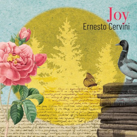 Ernesto Cervini: Ernesto Cervini - Joy [CD]