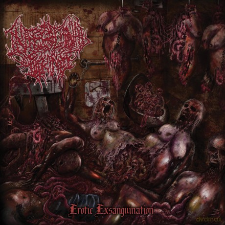 Intestinal Sodomy: Erotic Exsanguination [CD]