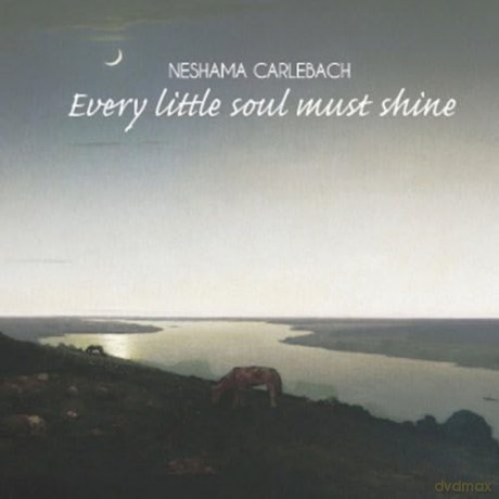 Carlebach Neshama: Every Little Soul Must Shine [CD]