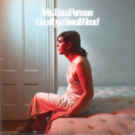 Ezra Furman-Goodbye Small Head (Basic Cd F: Ezra Furman-Goodbye Small Head (Basic Cd F [CD]